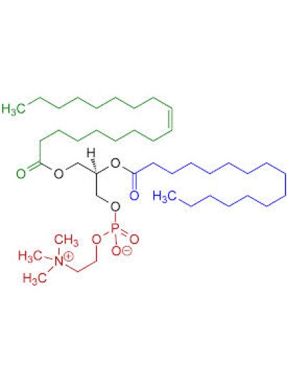 ليثيسين الصويا